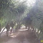 Limone Auf Olivenhain, Smartworking 빌라 고네사